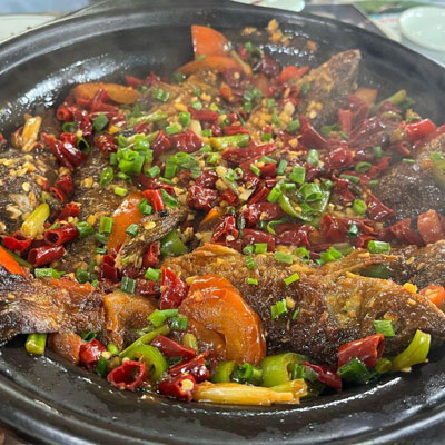 啤酒鱼(荷花鱼)